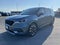 2023 Kia Carnival EX