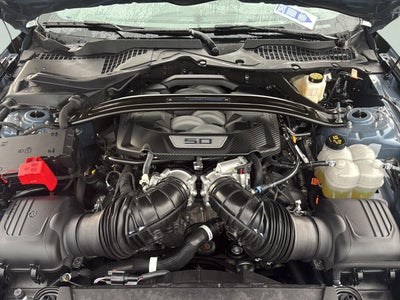 2024 Ford Mustang Dark Horse