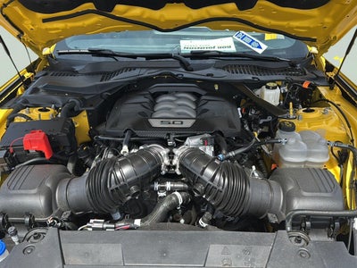 2024 Ford Mustang GT Premium Fastback