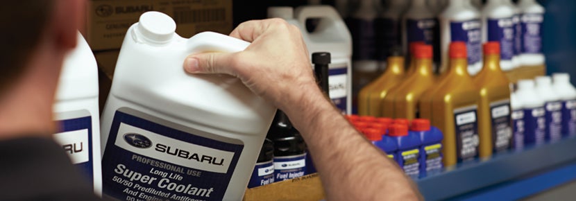 Picture of Subaru Super Coolant. | Bob Johnson Subaru Watertown in Watertown NY