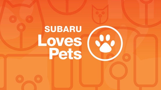 Bob Johnson Subaru Watertown in Watertown NY