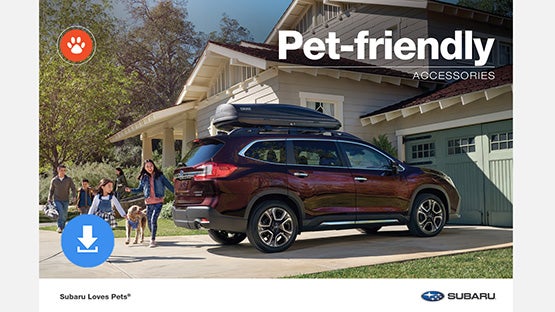 Bob Johnson Subaru Watertown in Watertown NY