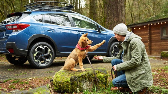 Bob Johnson Subaru Watertown in Watertown NY